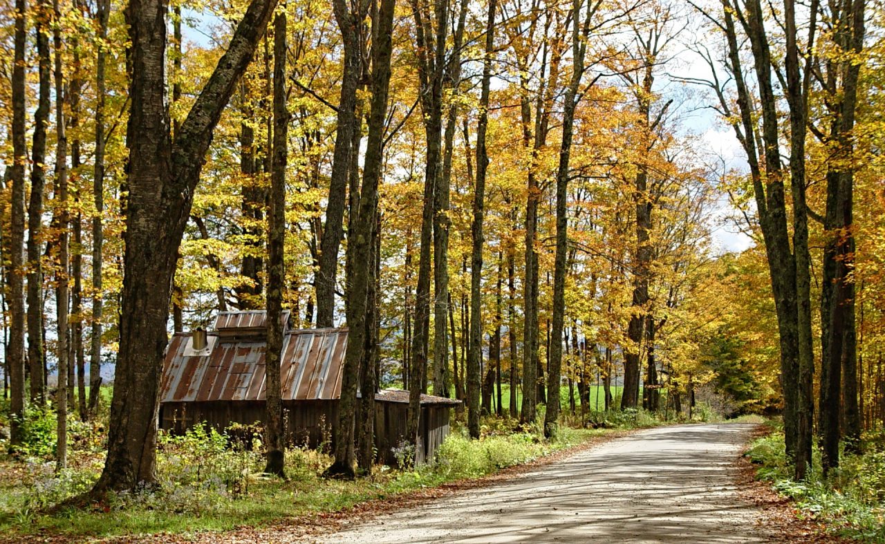 cabane au bord d'une route du Vermont